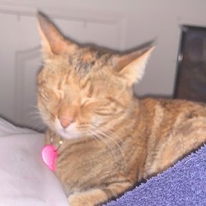 Meet your Posher, Mackenzie